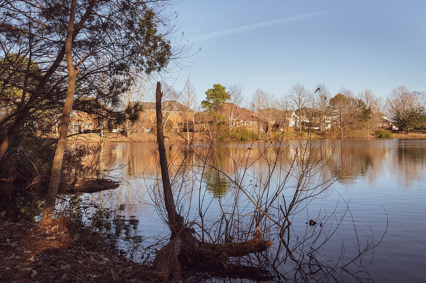 Chesapeake Arboretum, United States